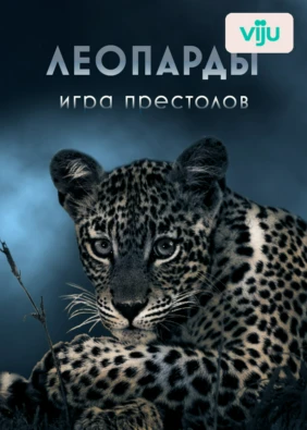 Леопарды: игра престолов