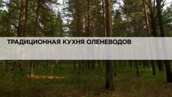 Традиционная кухня оленеводов