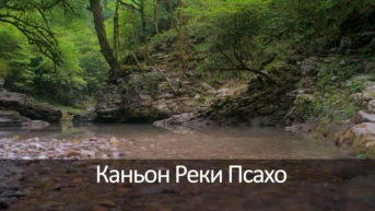 Каньон Реки Псахо