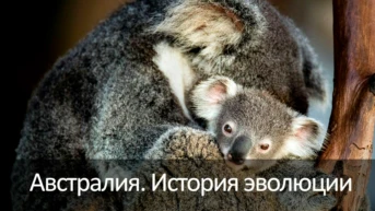 Австралия. История эволюции