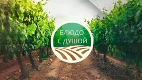 Трейлер 1