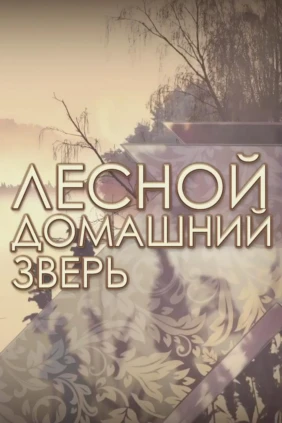 Лесной домашний зверь