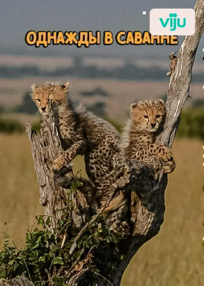 Однажды в Саванне