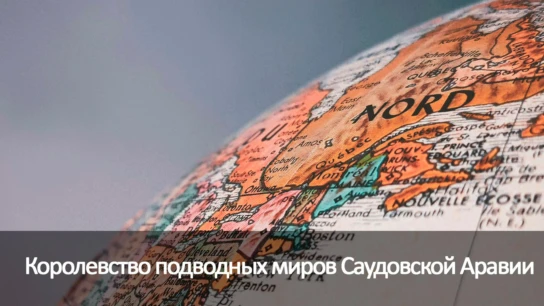 Королевство подводных миров Саудовской Аравии