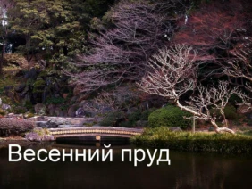 Весенний пруд