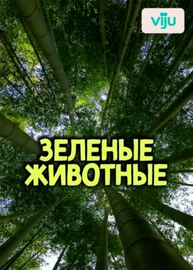Зеленые Животные