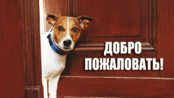 Добро пожаловать!