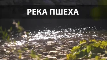 Река Пшеха