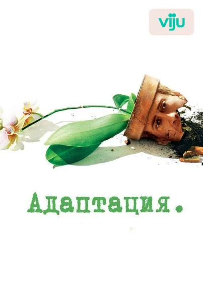 Адаптация