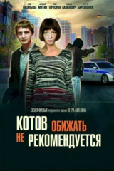 Котов обижать не рекомендуется