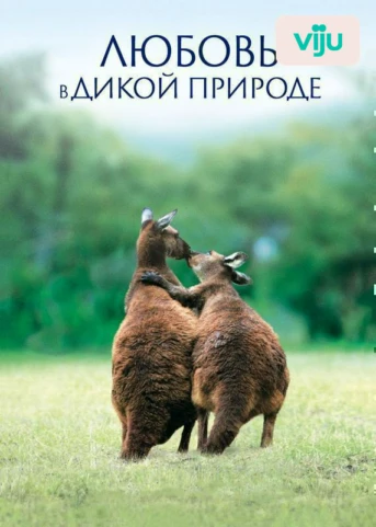 1 серия