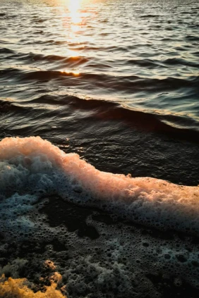 Белое море