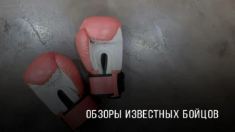 Обзоры известных бойцов