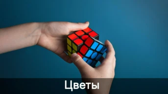 Цветы