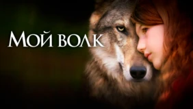 Трейлер 1