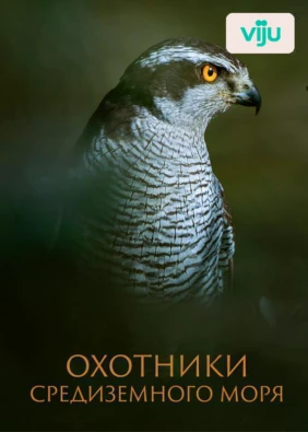 Охотники Средиземного моря