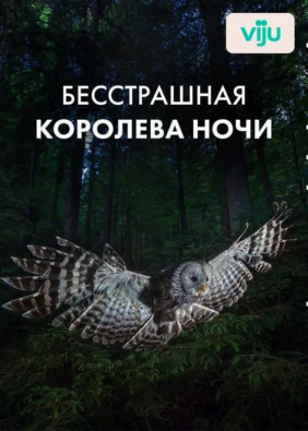Бесстрашная королева ночи