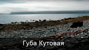 Губа Кутовая