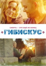 Гибискус