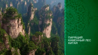 Парящий каменный лес Китая
