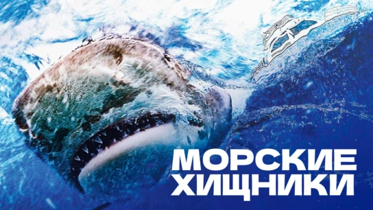 Морские хищники