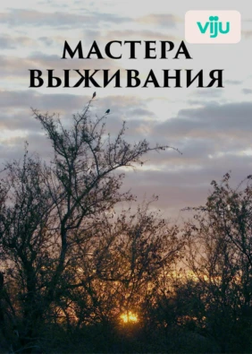 Мастера выживания