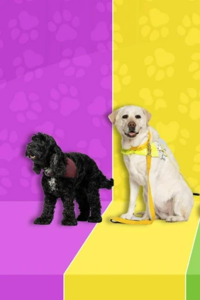Dog Squad