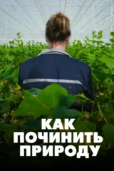 Как починить природу