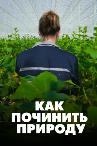 Как починить природу