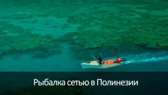 Рыбалка сетью в Полинезии