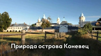 Природа острова Коневец