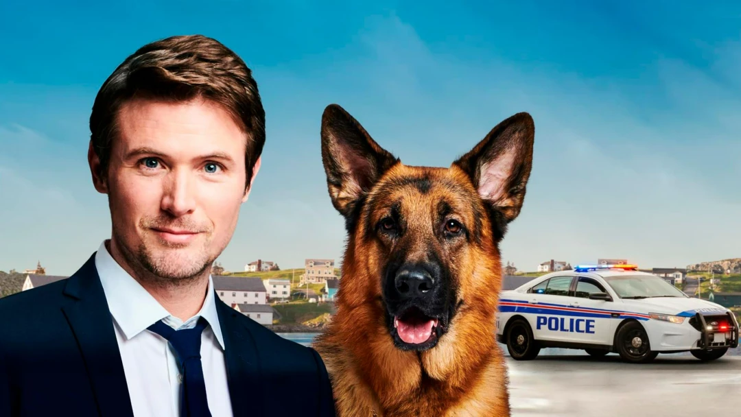 Сериал Хадсон и Рекс