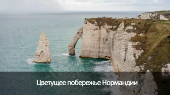 Цветущее побережье Нормандии