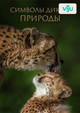 1 серия