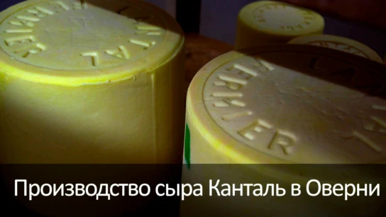 Производство сыра Канталь в Оверни