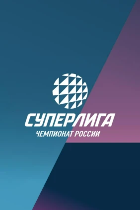 Волейбол. Чемпионат России. Минчанка - Муром. Переходные матчи