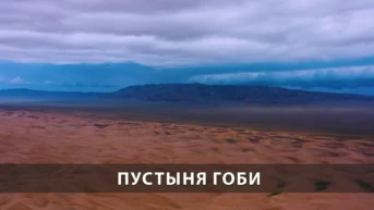Пустыня Гоби