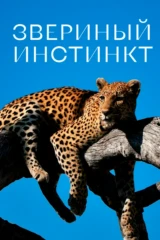 Звериный инстинкт