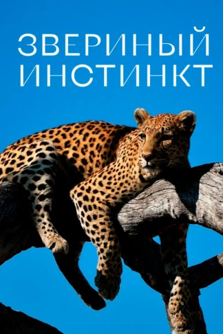 Звериный инстинкт