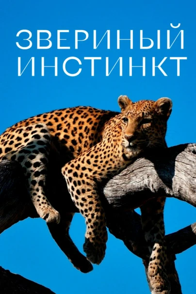 Звериный инстинкт