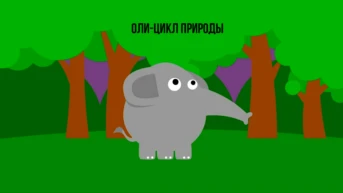 Оли - цикл природы