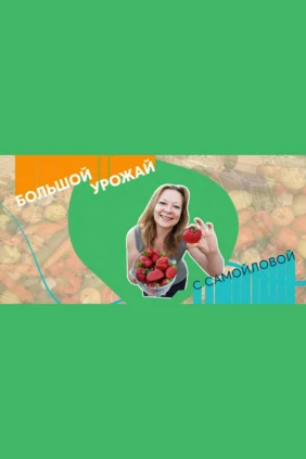 Большой урожай