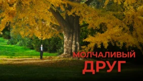 Трейлер 1
