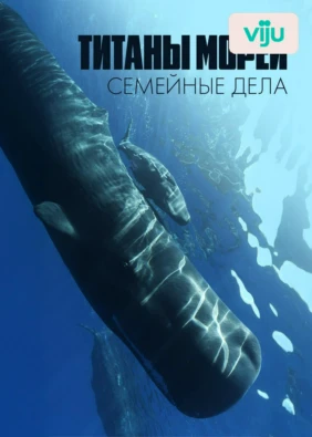 Титаны морей: семейные дела