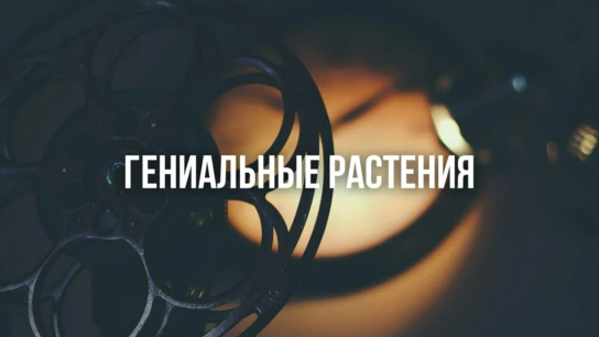 Гениальные растения