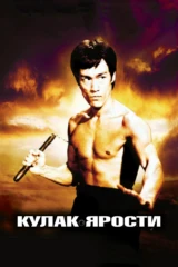 Кулак ярости