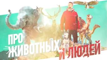 Про животных и людей
