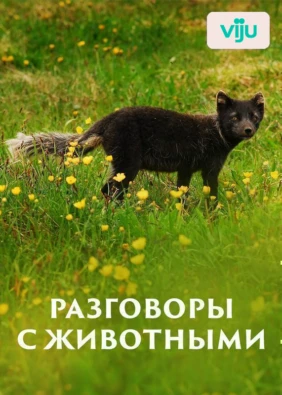 Разговоры с животными