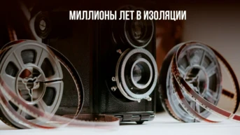 Миллионы лет в изоляции