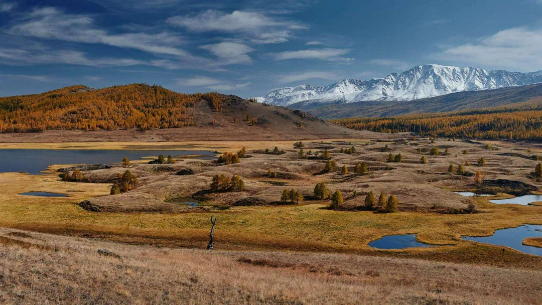 Передача Ештыкель